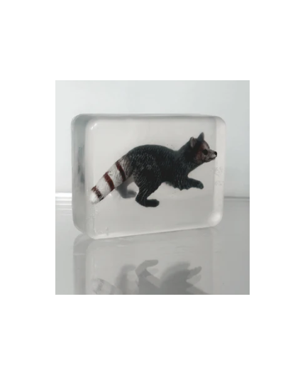 Savons transparent avec Figurine